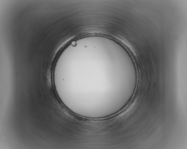 X0000112530782200908171144