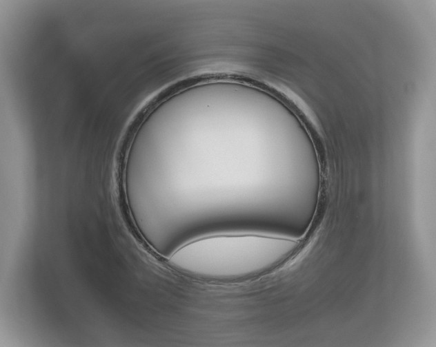 X0000112530783200908171144