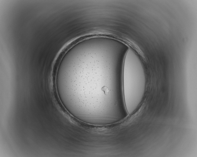 X0000112530784200908171144