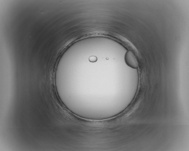 X0000112530785200908171144