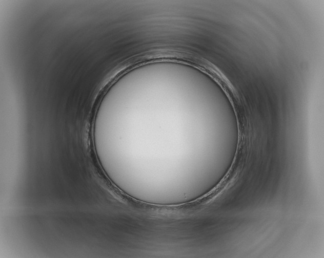 X0000112530786200908171144