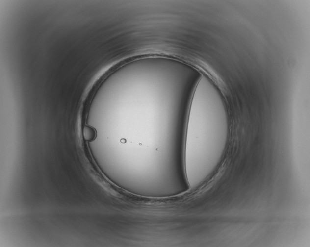 X0000112530788200908171144