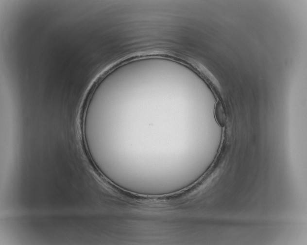 X0000112530789200908171144