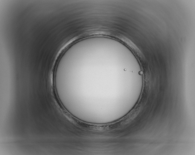 X0000112530790200908171144