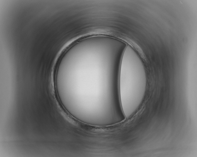 X0000112530792200908171144