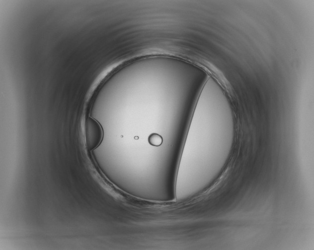 X0000112530796200908171144