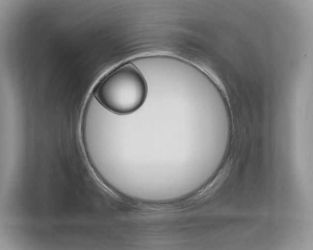 X0000112530797200908171143