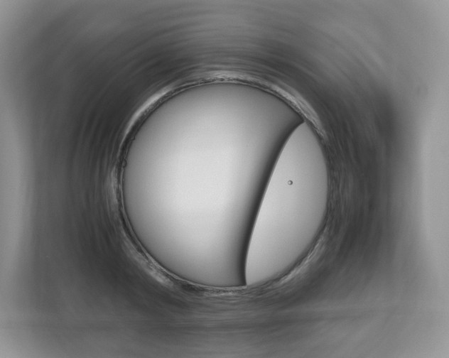 X0000112530798200908171143
