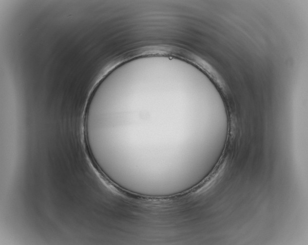 X0000112530802200908171143