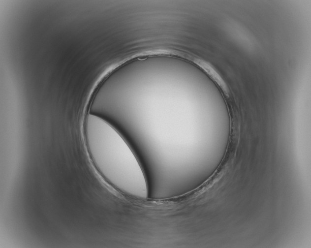 X0000112530805200908171143