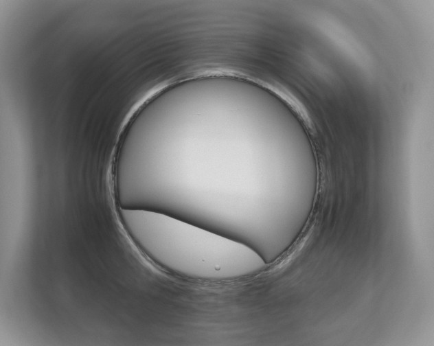 X0000112530806200908171143