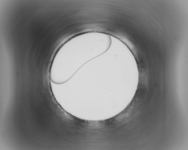 X0000112530807200908171143