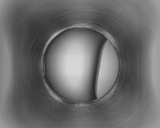 X0000112530808200908171143
