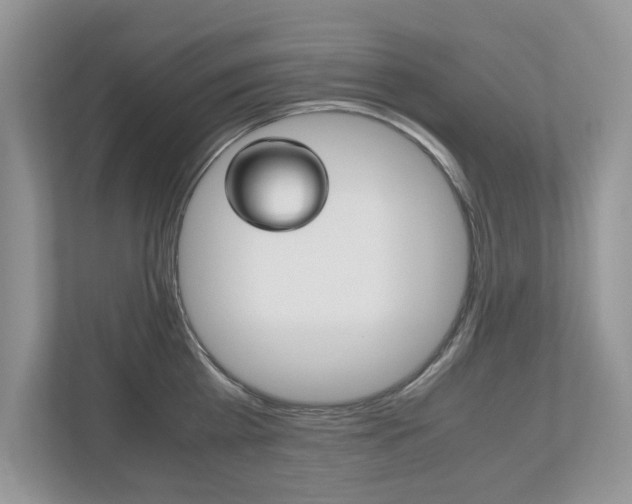 X0000112530809200908171143