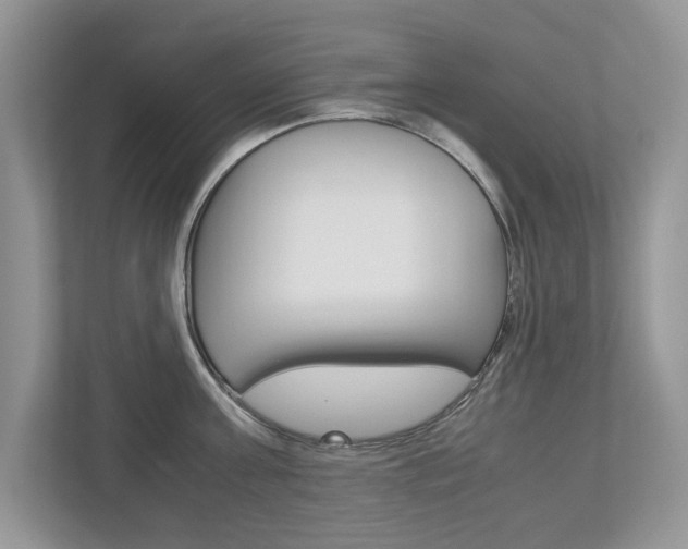 X0000112530811200908171143