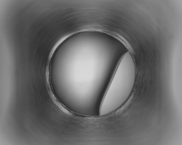 X0000112530812200908171143
