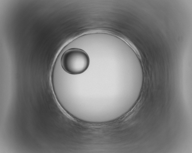 X0000112530813200908171143