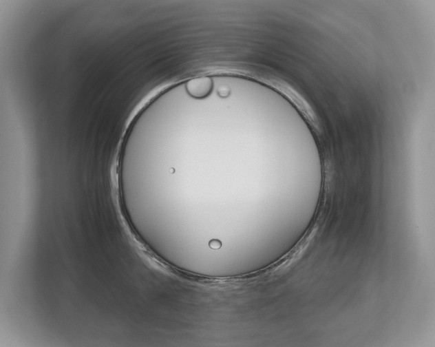 X0000112530814200908171143