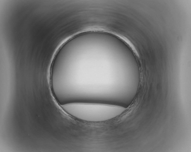 X0000112530815200908171143