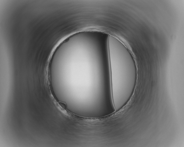 X0000112530816200908171143
