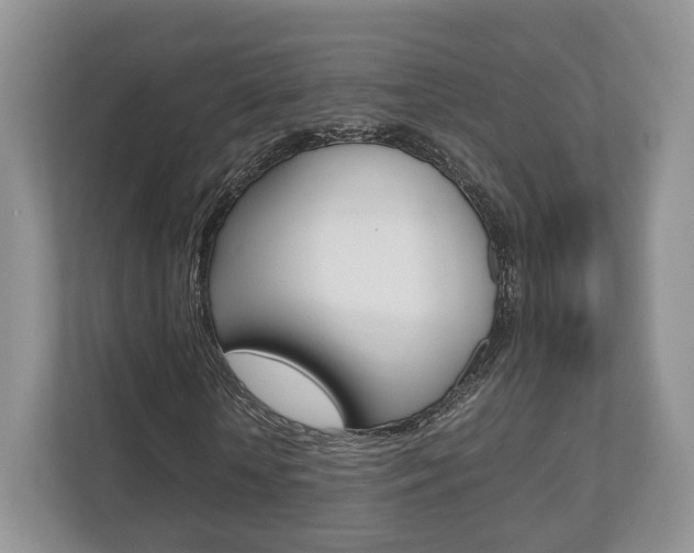 X0000112530818200908171143