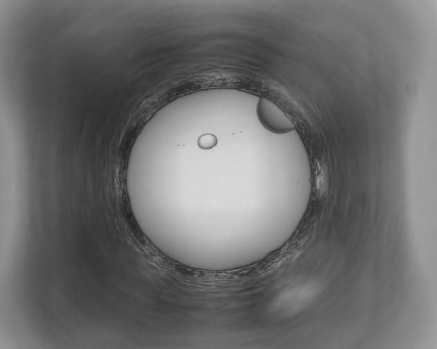 X0000112530819200908171143
