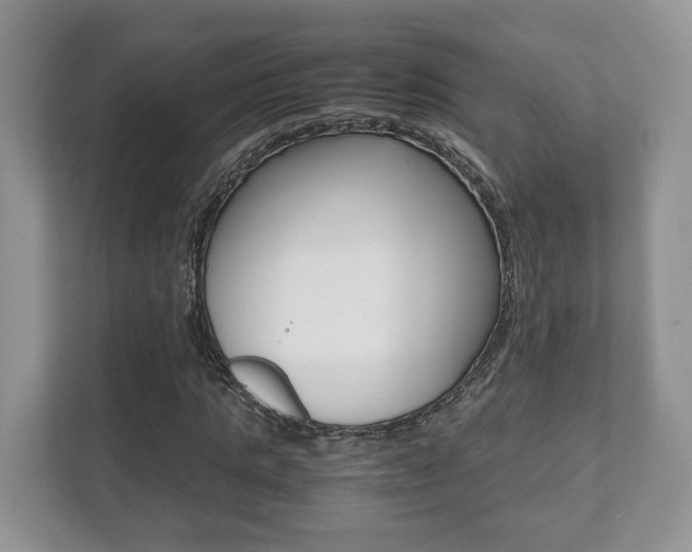 X0000112530821200908171143