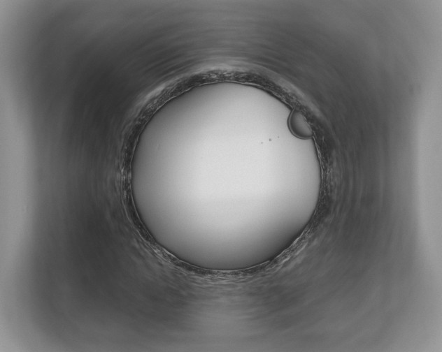 X0000112530822200908171143