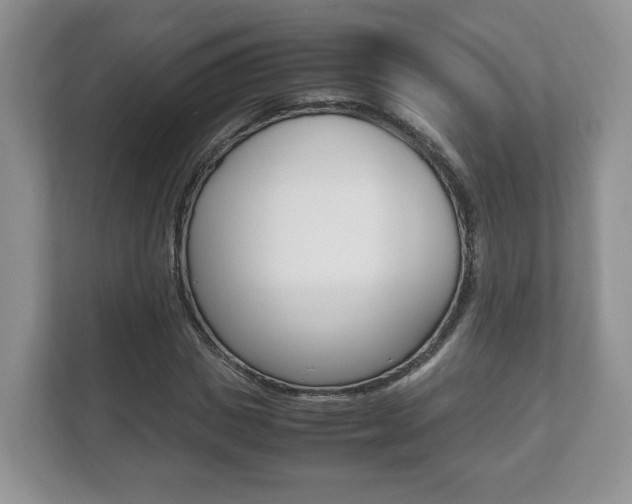 X0000112530825200908171143