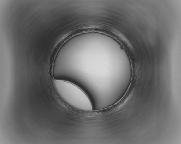 X0000112530826200908171143