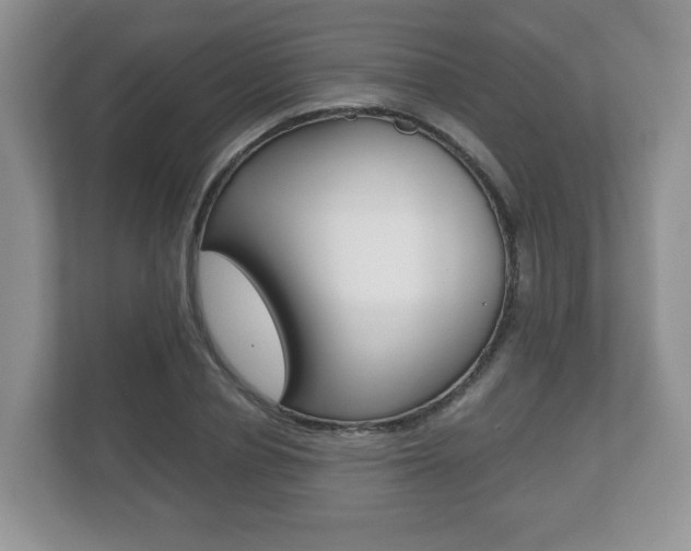 X0000112530834200908171143