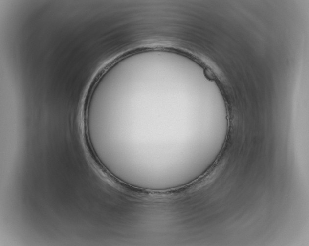 X0000112530840200908171143