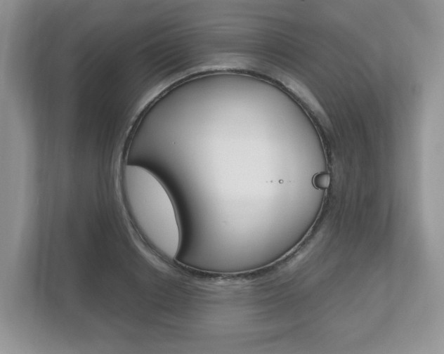 X0000112530842200908171143