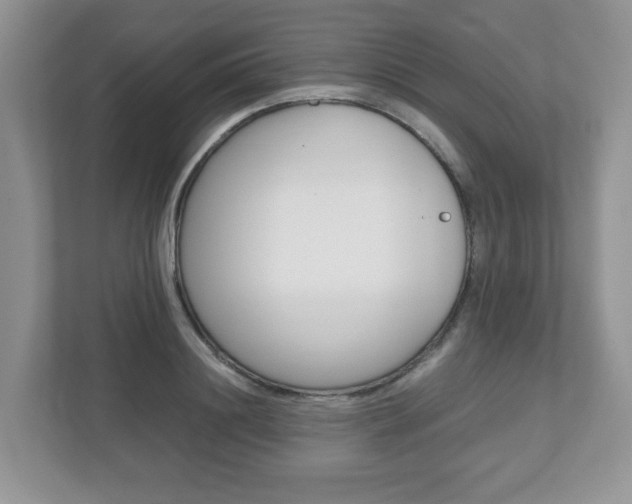 X0000112530844200908171143