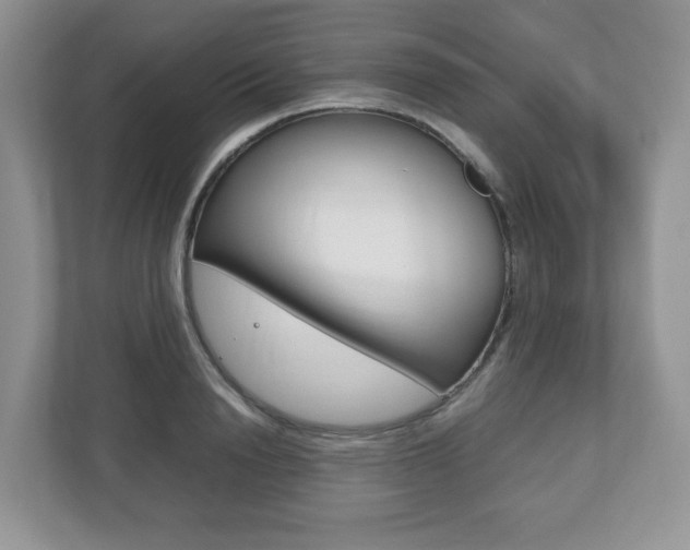 X0000112530846200908171143
