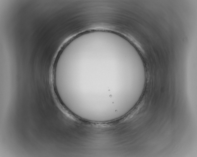 X0000112530848200908171143