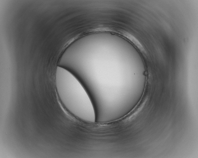 X0000112530849200908171143