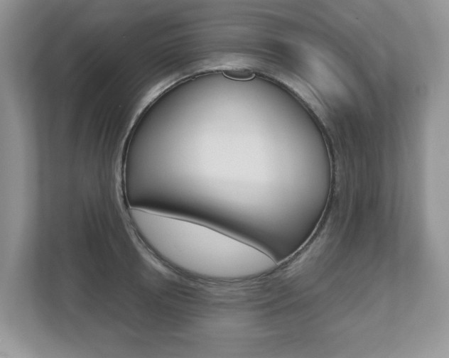 X0000112530850200908171143