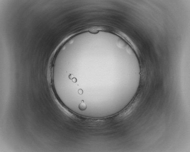 X0000112530851200908171143