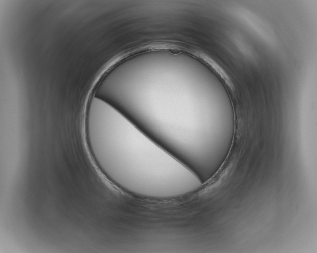 X0000112530853200908171143