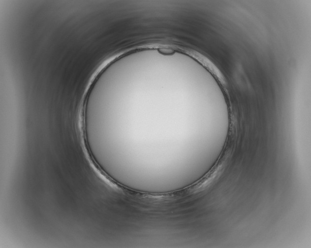 X0000112530855200908171143
