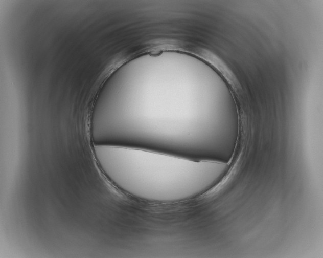 X0000112530857200908171143