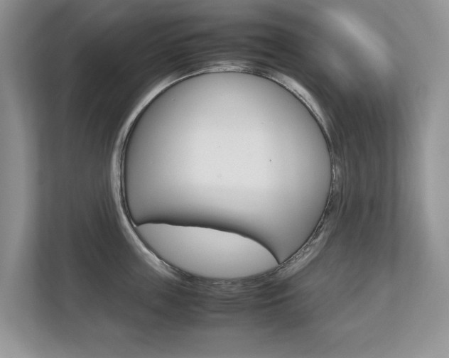 X0000112530859200908171143