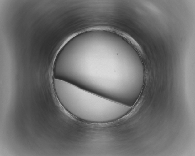 X0000112530860200908171143