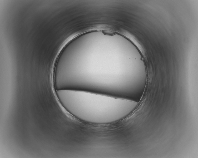 X0000112530861200908171143
