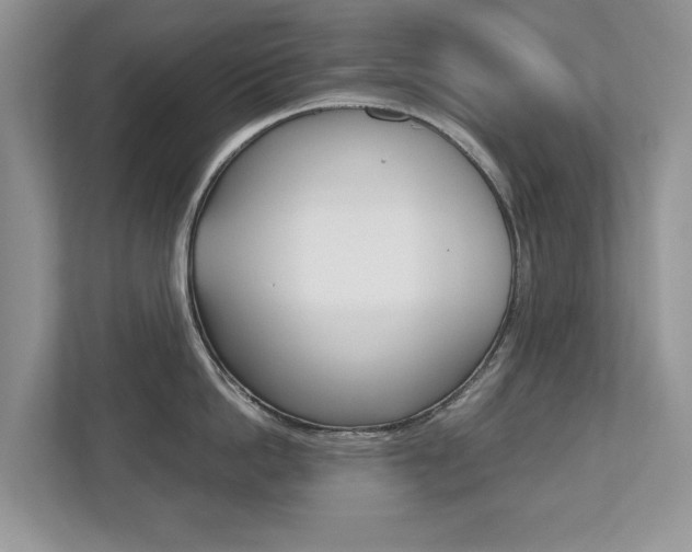 X0000112530862200908171143