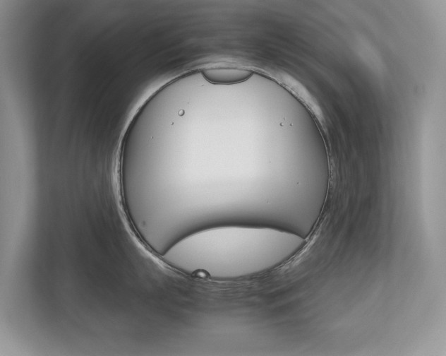 X0000112530863200908171143