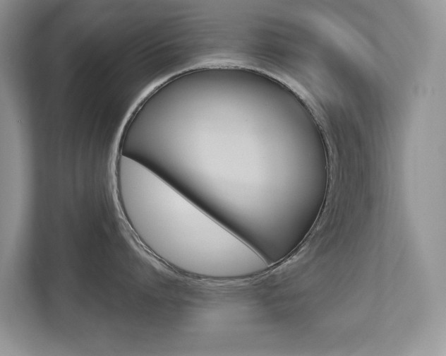 X0000112530864200908171143