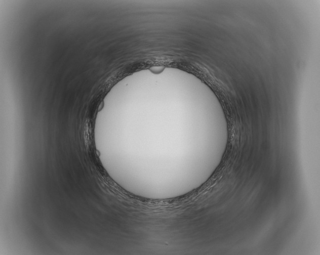 X0000112530866200908171143