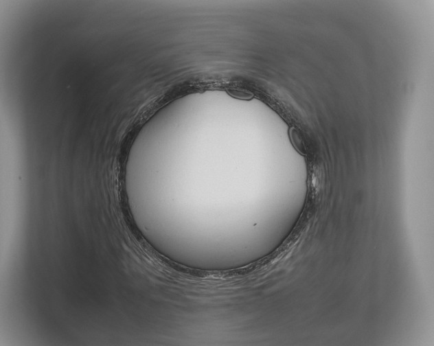 X0000112530867200908171143